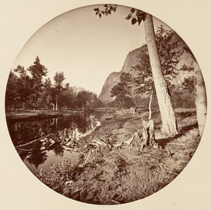 [カリフォルニア州ヨセミテ国立公園]、カリフォルニア州。 1878年。 作： Carleton Emmons Watkins