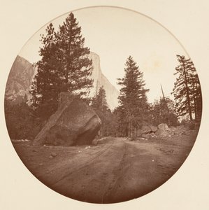 [カリフォルニア州ヨセミテ国立公園]、カリフォルニア州。 1878年。 作： Carleton Emmons Watkins