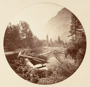 [カリフォルニア州ヨセミテ国立公園]、カリフォルニア州。 1878年。 作： Carleton Emmons Watkins