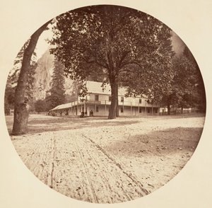 [カリフォルニア州ヨセミテ国立公園]、カリフォルニア州。 1878年。 作： Carleton Emmons Watkins