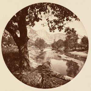 [カリフォルニア州ヨセミテ国立公園]、カリフォルニア州。 1878年。 作： Carleton Emmons Watkins