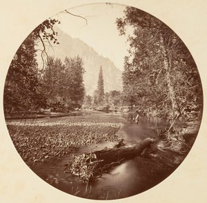 [カリフォルニア州ヨセミテ国立公園]、カリフォルニア州。 1878年。 作： Carleton Emmons Watkins