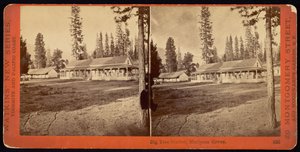 ビッグツリーステーション、マリポサグローブ 作： Carleton Watkins