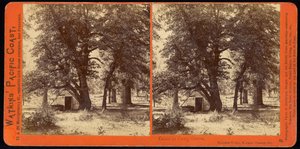カリフォルニア州マリポサ郡ヨセミテバレー、キャンプグローブのキャビン 作： Carleton Watkins