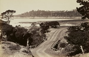 [モントレー近郊の海岸］ 作： Carleton Watkins