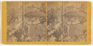 [カリフォルニア州マリポサ郡、ヨセミテ渓谷、鏡の眺め]。 作： Carleton Watkins