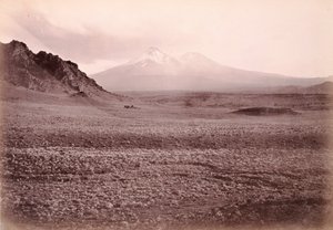 [マウント・シャスタ］ 作： Carleton Watkins