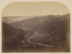 ニューアルマデン 作： Carleton Watkins