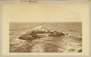 シールロックス 作： Carleton Watkins
