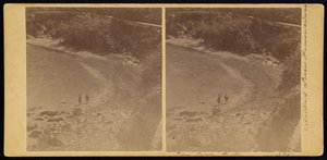 コーブ、SF 作： Carleton Watkins