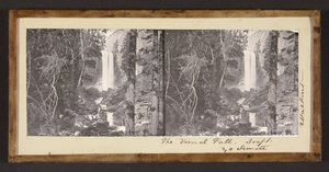 ヴァーナル滝。 300フィートのヨセミテ 作： Carleton Watkins