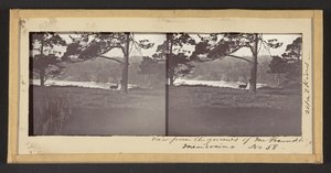 メンドシノのフロイント氏の敷地からの眺め 作： Carleton Watkins