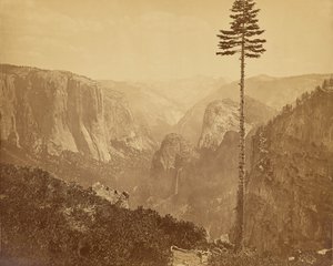  作： Carleton Watkins
