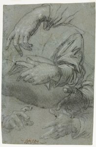 手の研究 (直腸) 作： Carletto Caliari