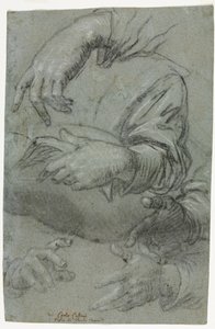 手直腸の研究、c。 1586年。 作： Carletto Caliari