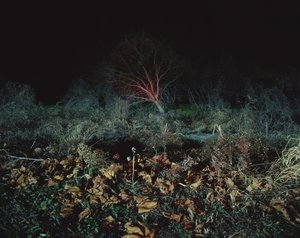 ペインティング・イン・ザ・ダーク, 2011