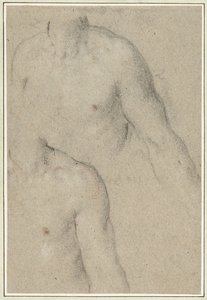 若い男性の胴体の 2 つの研究 作： Carlo Caliari