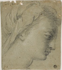 右横顔の女性頭部 作： Carlo Cignani