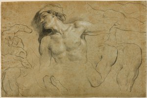 手、肩、脚の研究（紙の上で黒チョークを白で強調） 作： Carlo Cignani
