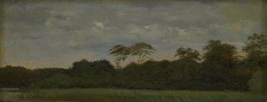 森の湖のほとりの牧草地 作： Carlo Dalgas