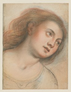 女性の頭のための研究 (裏面); キリストの頭 (直腸) 作： Carlo Francesco Nuvolone