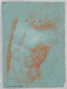 デッサン、キリストの死体の胴体、1650-1700年 作： カルロ・マラッタ