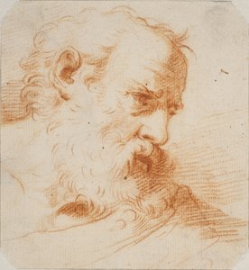 右を見ているひげを生やした男の頭 作： Carlo Maratti