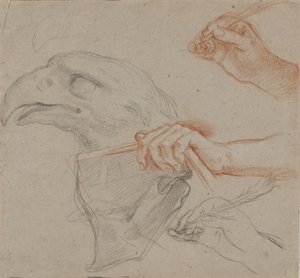 ワシの頭の習作、羽ペンを持つ手の習作が 3 つ、本を持つ手の習作が 1 つ 作： Carlo Maratti