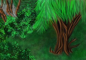 庭の一角 作： Carol Sousa Cuello