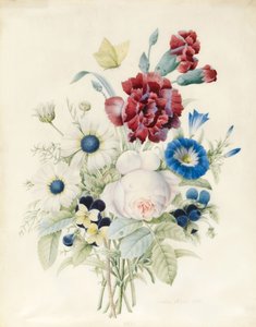 バラ、ブルーコンボルブルス、パンジーを含む花のスプレー、1830年（紙と本体色）