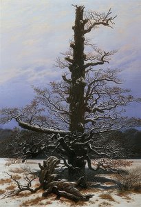 雪の中でオークの木。 1829 作： Caspar David Friedrich