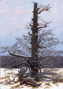 ドイツ語：Eichbaum im Schnee 雪の中のオークツリー 作： カスパー・デイビッド・フリードリッヒ