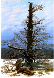 ドイツ語：Eichbaum im Schnee 雪の中のオークツリー 作： カスパー・デイビッド・フリードリッヒ