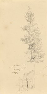 ドイツ語：Studie mit Fichten und Felsen トウヒの木と岩の研究 作： カスパー・デイビッド・フリードリッヒ