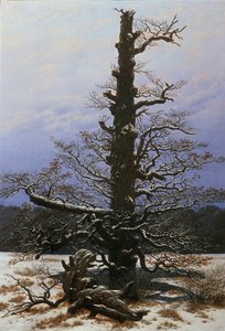雪の中のオークの木 作： Caspar David Friedrich