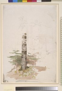 針葉樹林の奥から学ぶ 作： Caspar David Friedrich