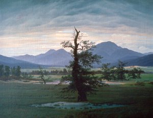 孤独な木、1823 作： Caspar David Friedrich
