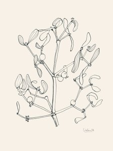 ホリデー・ミストレットの線画