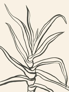 ミニマルな植物の輪郭