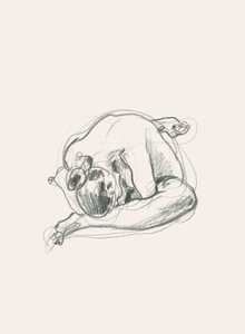 静かな、丸まった姿