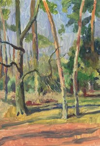 日差しが差し込む森の小道 作： Catalina Somolinos