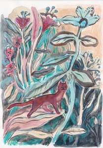 風変わりなジャングルキャット 作： 