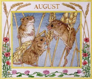 8月（紙にトイレ） 作： Catherine Bradbury