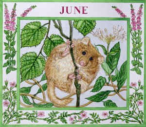 6月（紙にトイレ） 作： Catherine Bradbury
