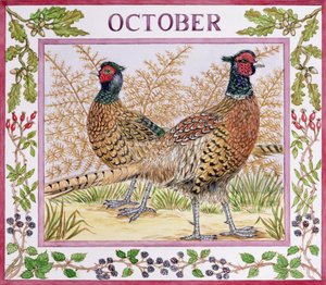 10月（紙にトイレ） 作： Catherine Bradbury