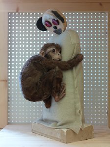 Surrogate, 2007（ジェスモナイト、ペンキ、毛皮、ウールブランケット、チーズボックス、反射板、石膏）