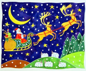 星と降雪 作： Cathy Baxter
