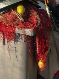 構成 - ネッツ、2019年（写真） 作： Cécile Jamet