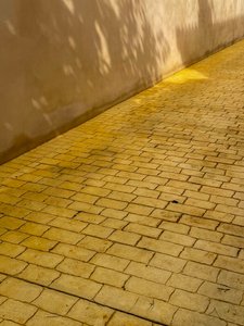 コンポジション - 舗道と影、2022年（写真） 作： Cécile Jamet