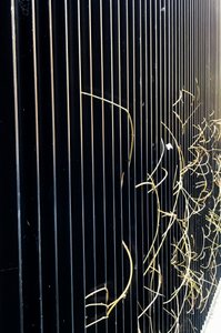コンポジション - ストリート、2020年（写真） 作： Cécile Jamet